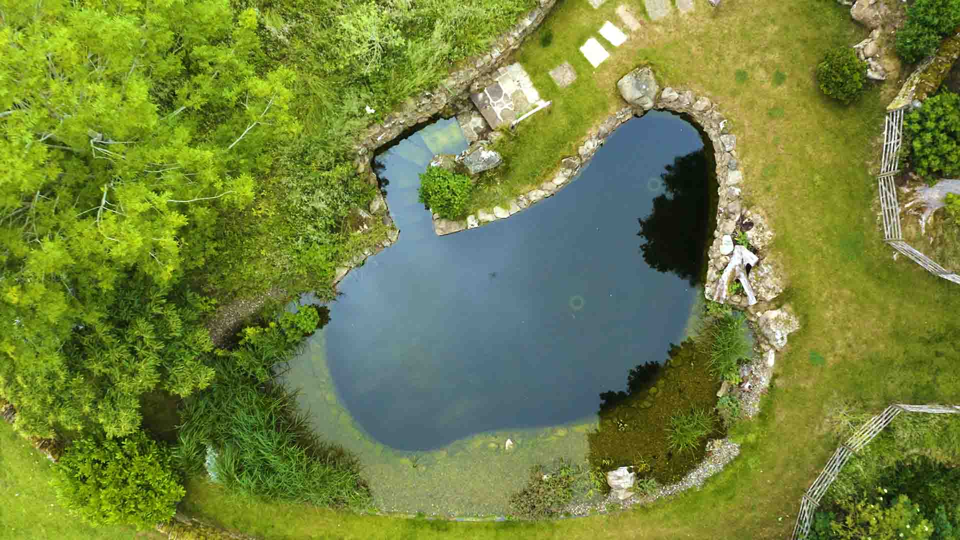 Natural Swimming Ponds
