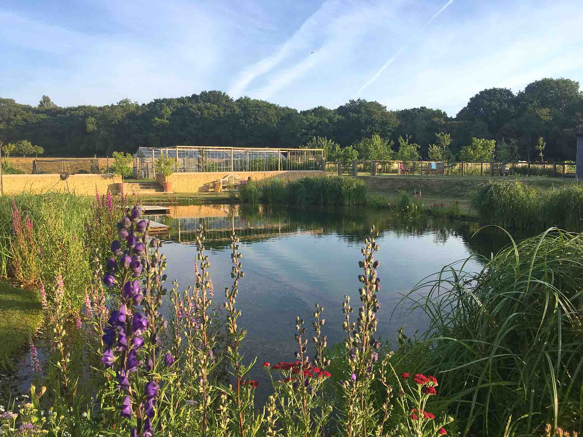 Natural Swimming Pool Testimonial Ben Brown