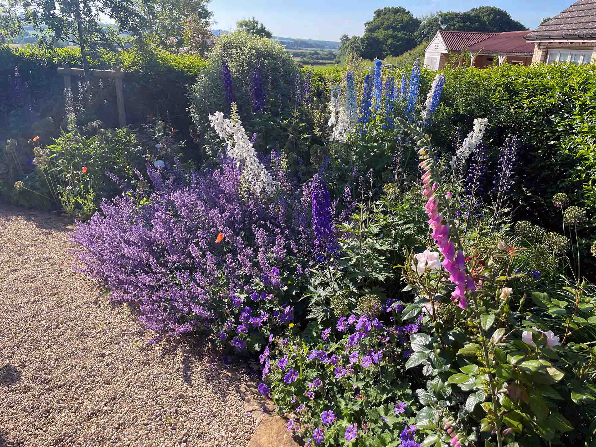 Nicola Hood Testimonial For William Curtis